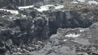 GC-Agaete - Piscinas Naturales 2025-58.jpg